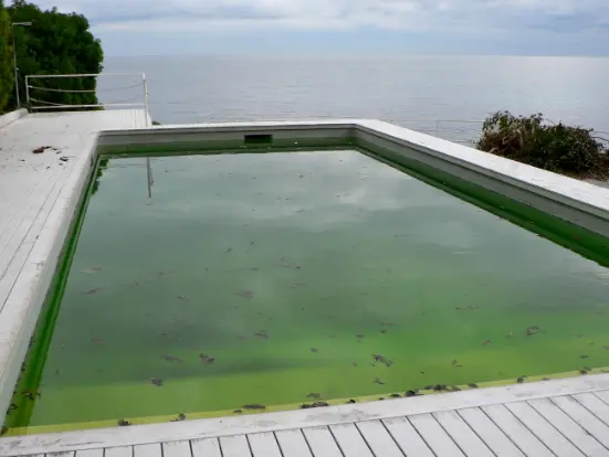 Read more about the article 10 Proven & Fast Ways to Fix a Green Pool Treatment in Malaysia
